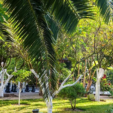 Ξενοδοχείο La Cite 3*