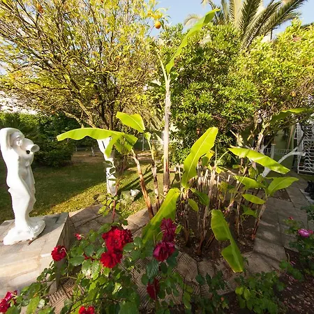 La Cite Hotel Lixouri